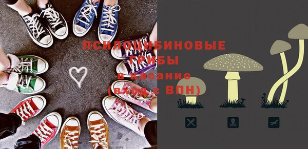 метамфетамин Покачи