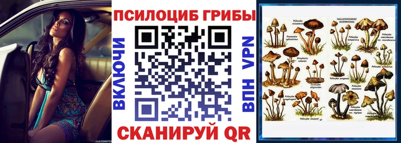 Купить  Правдинск  Псилоцибиновые грибы Magic Shrooms 