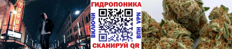 МАРИХУАНА конопля  Купить где  Правдинск 